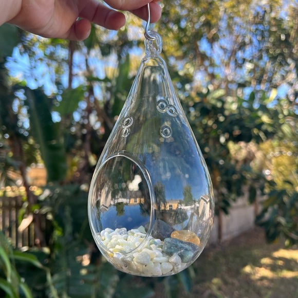 7” Glass Hanging Air Plant Terrarium - Teardrop Shape - Picture 4 of 8